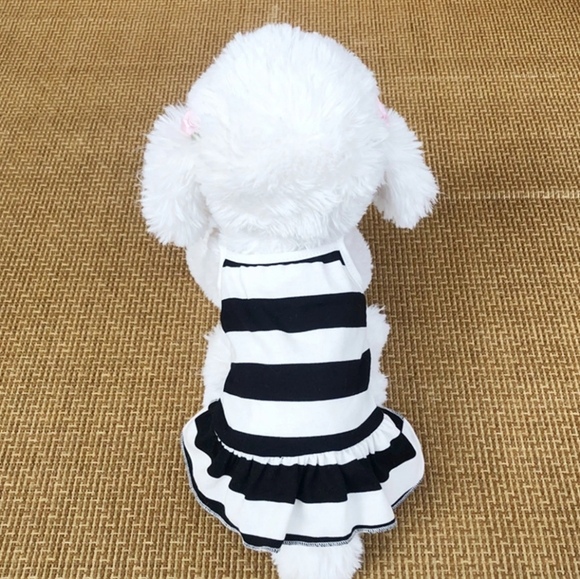 Target Dog Dog Dress Poshmark
